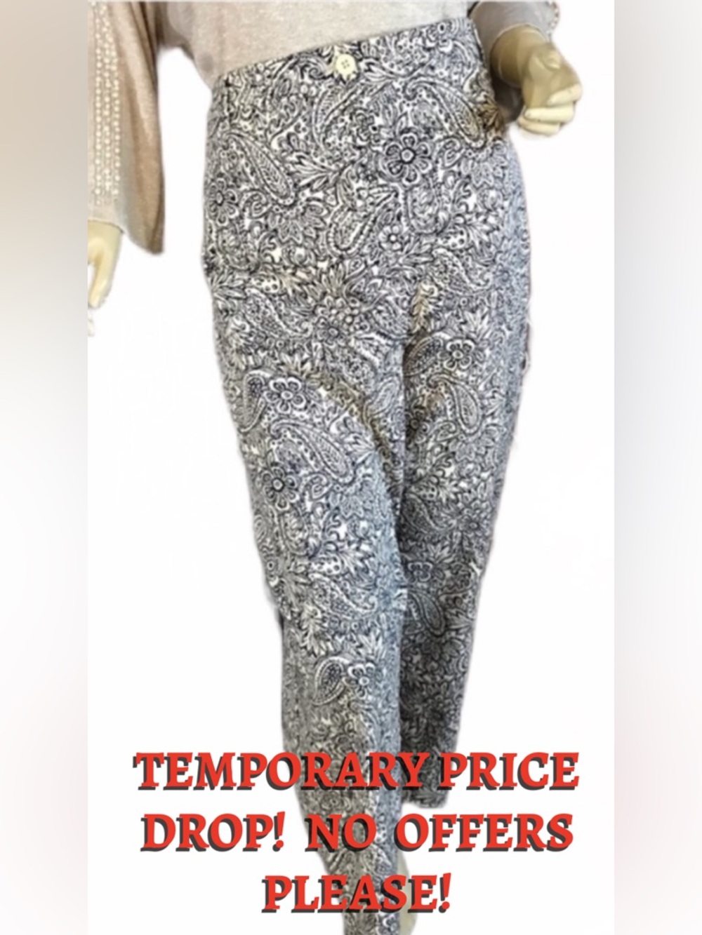 TALBOTS WOMAN BLUE AND BEIGE PAISLEY PRINT PANTS NWT (26W)